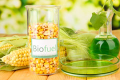 Burnett biofuel availability